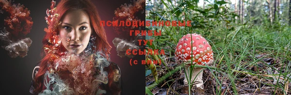 2c-b Волосово