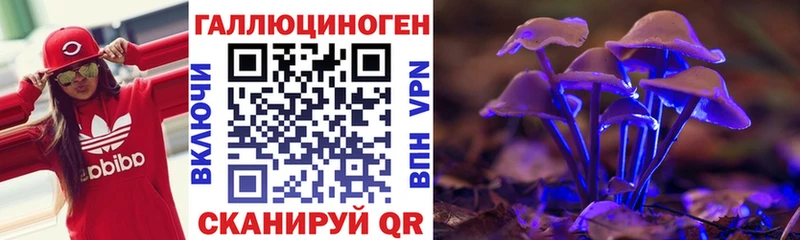 hydra ССЫЛКА  Знаменск  Галлюциногенные грибы Magic Shrooms 